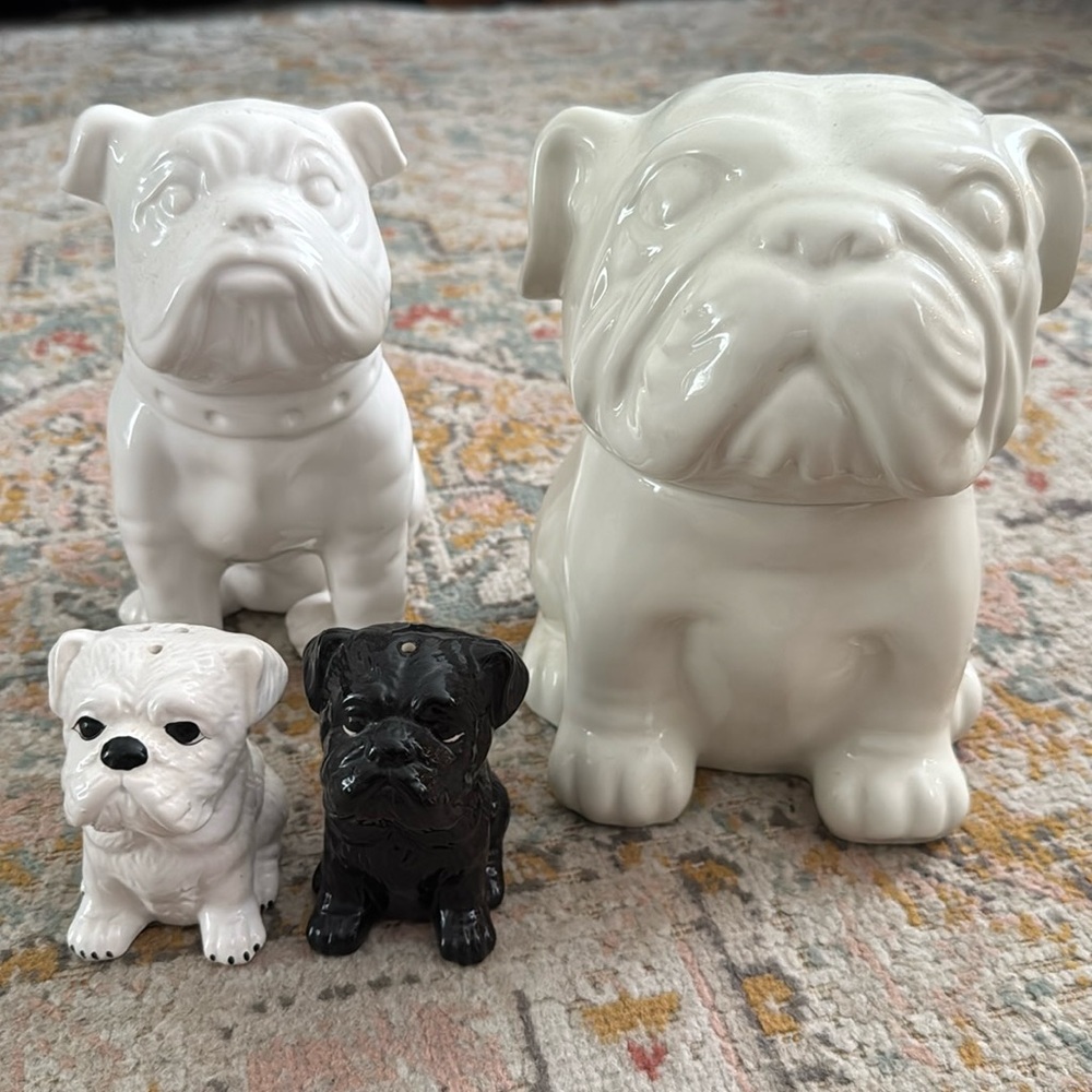 English bulldog lot